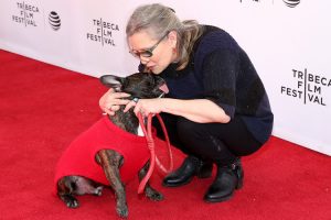 Carrie Fisher Emotional Support Animal Gary the Dog