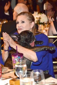 Carrie Fisher Emotional Support Animal Gary the Dog